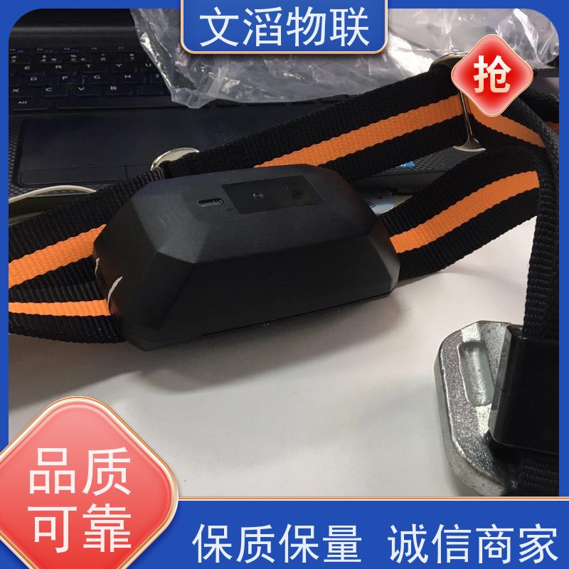 文滔物联 猪B超 多功能畜牧宠物定位计步器 供应 