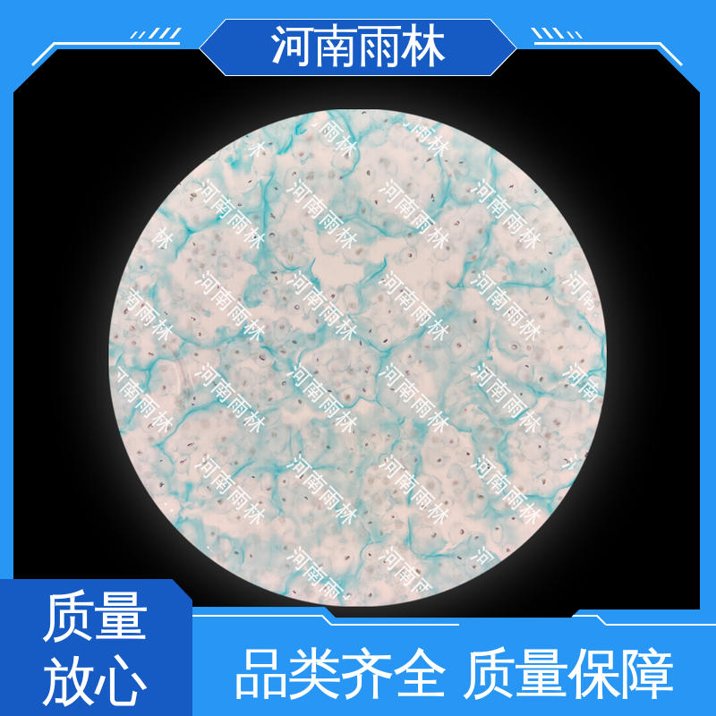 雨林教育 实验标本 个性化定做 品质优良 性价比高