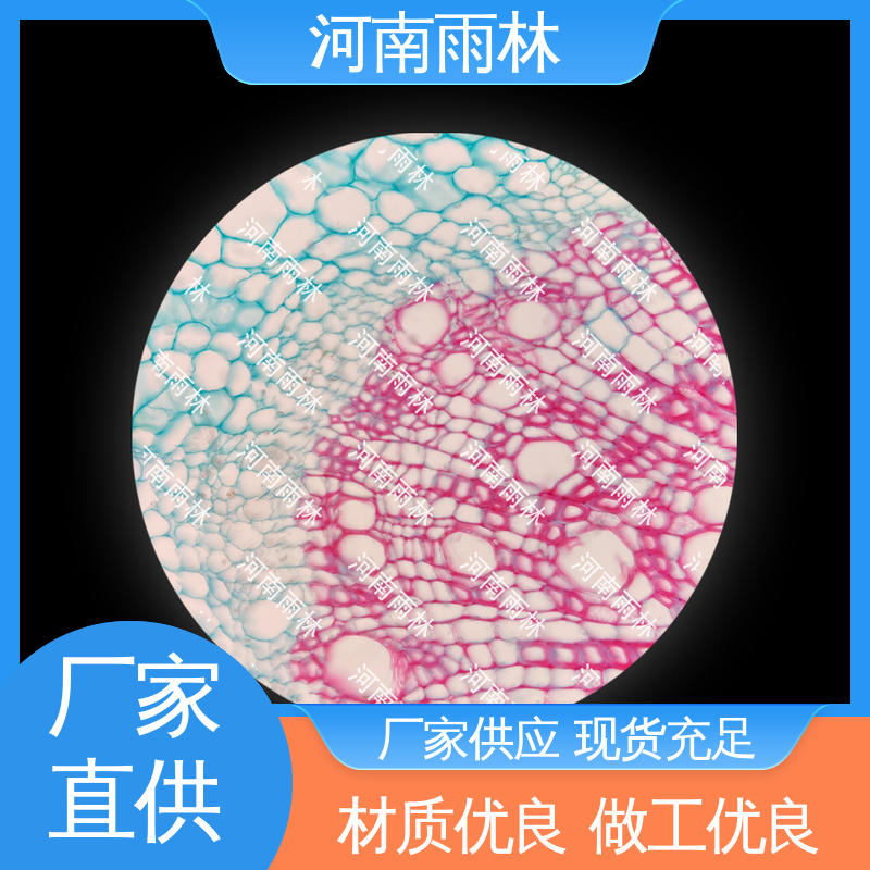 雨林教育 品质优良 个性化定做 可提供材料 教学切片