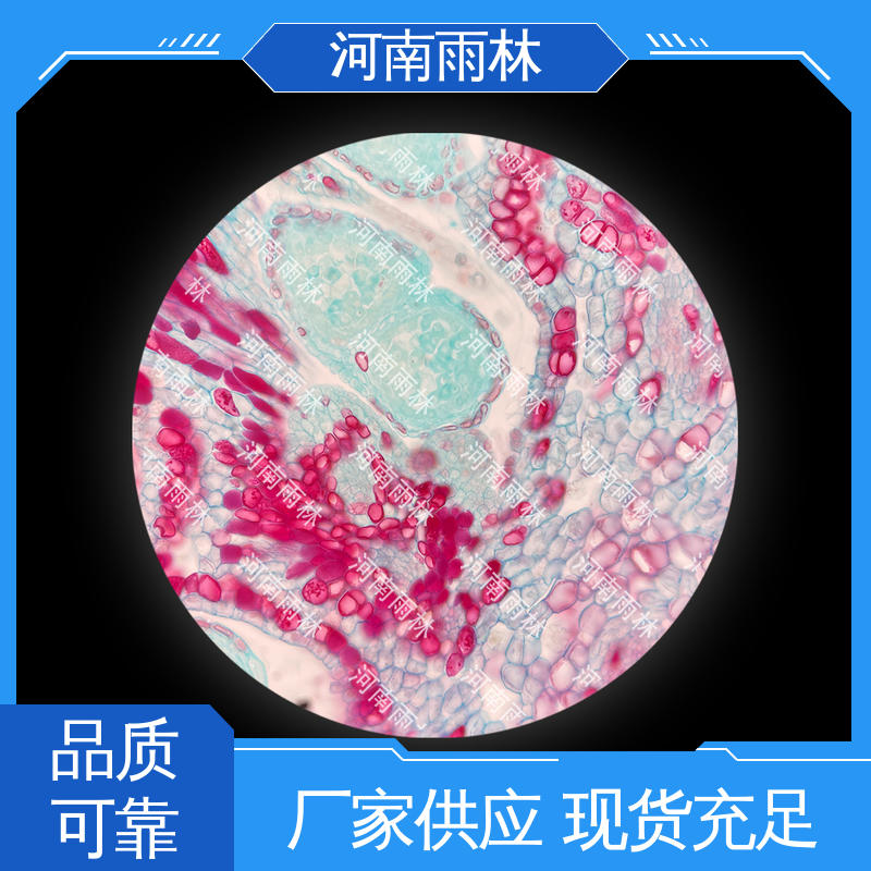 质量保障 可提供材料 病害标本 支持定制 雨林教育工程
