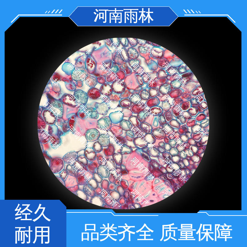 雨林教育 病害标本 售后无忧 质量保障 个性化定做