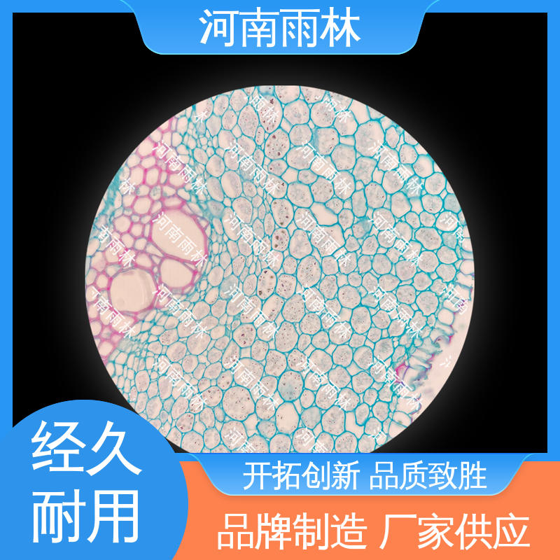 可定制 源头工厂 一对一质检 教学切片 雨林教育工程