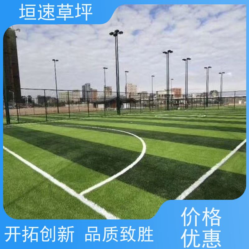 垣速 足球场施工供应商 绿化假草皮 门球场草坪色彩丰富 绿化隔热草皮