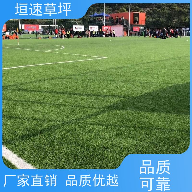 垣速 门球场地设施 仿真草坪保温 人工假草皮 足球场仿真草坪不易老化