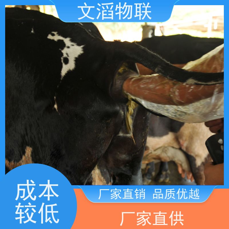 文滔物联 先进技术 奶牛TMR饲喂监控系统 好品质 服务好 