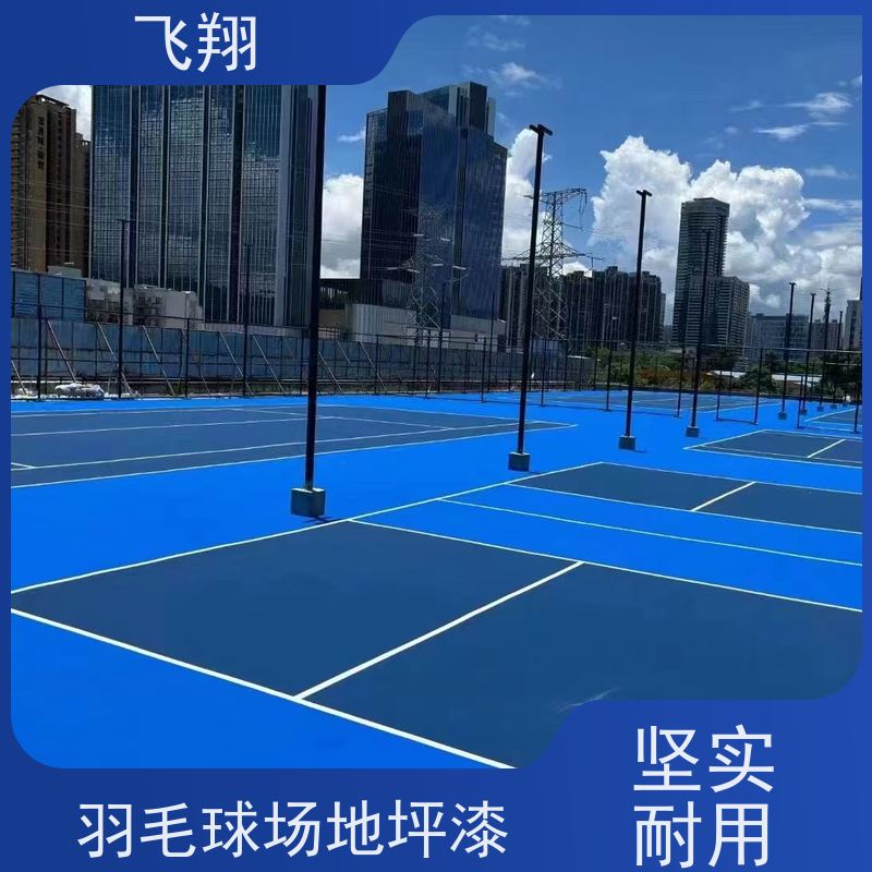 惠州惠城 龙门 大亚湾硅PU篮球场地坪漆 一体成型 高耐磨 供货及时