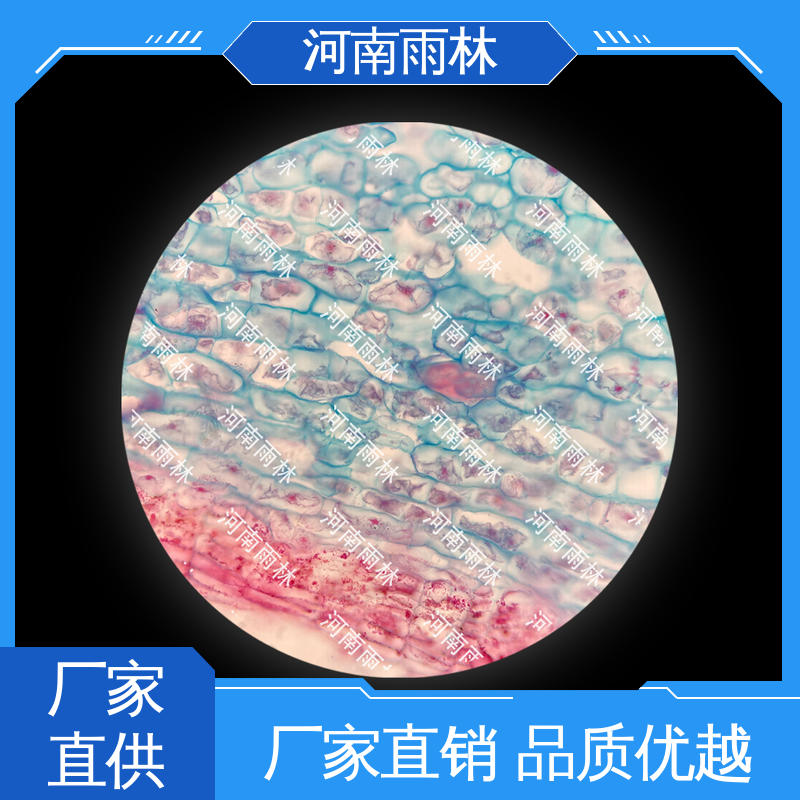 教学切片 可定制 一对一质检 厂家销售 雨林教育