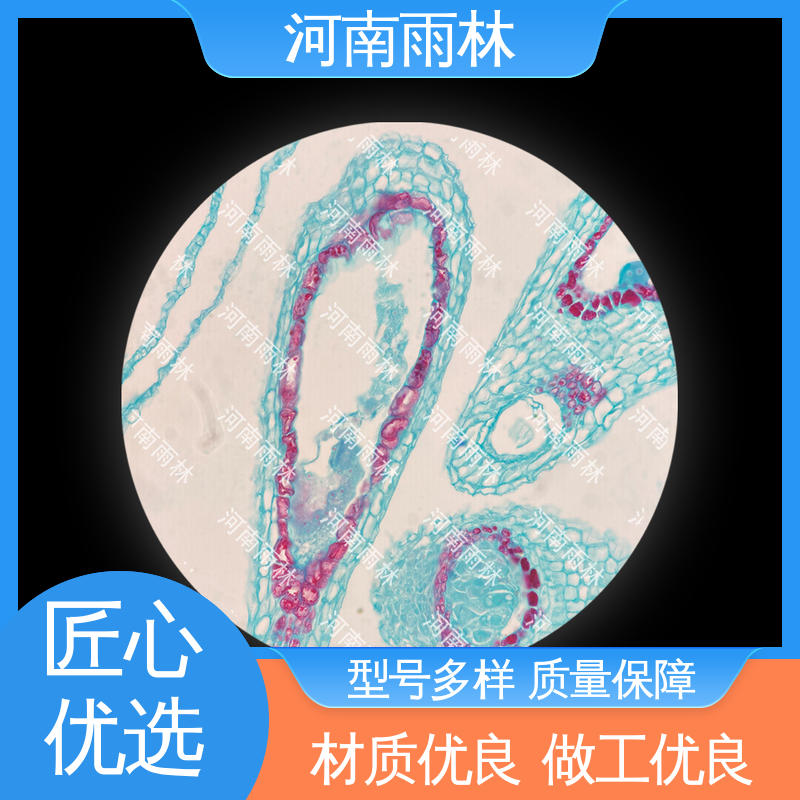 质量保障 个性化定做 显微标本 可后期加工 雨林教育工程