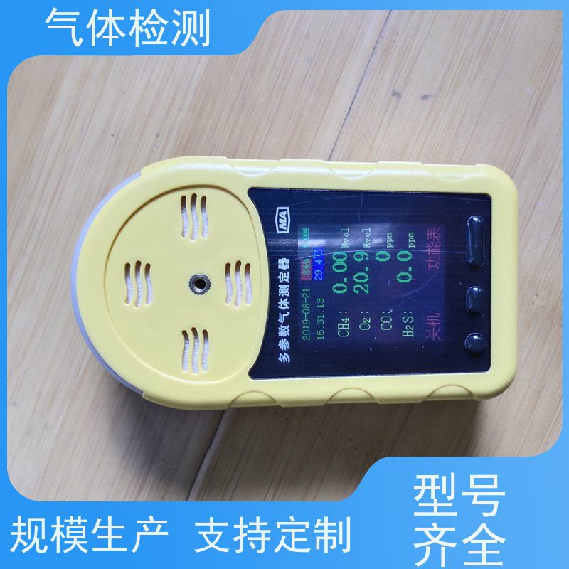 CD10便携式多参数气体检测仪 LED显示防爆IP65