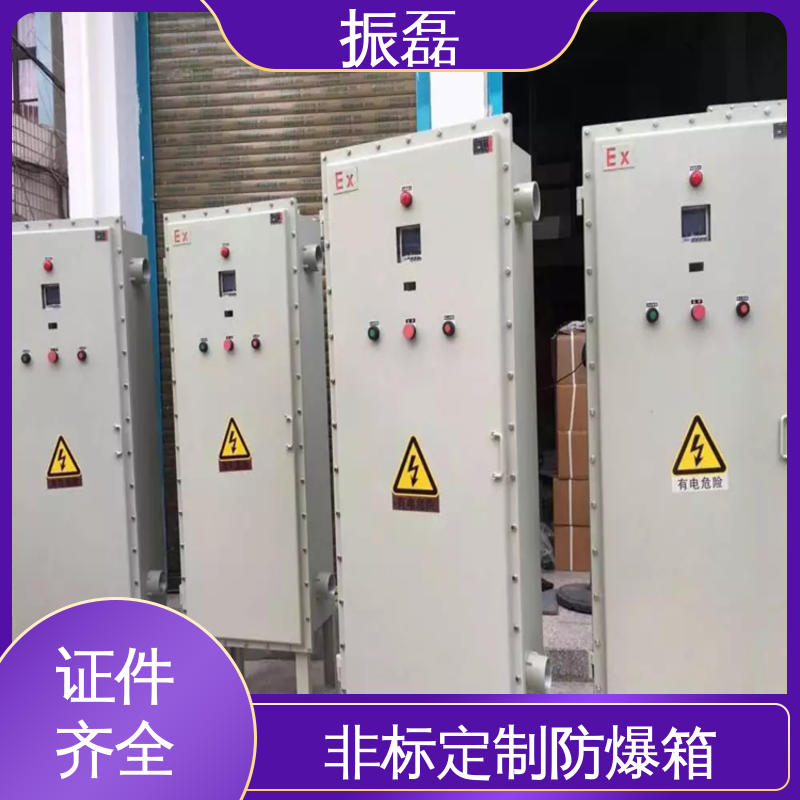 FXM防爆防腐照明动力配电箱 专用堵头 生产厂家 化工厂 加油站 振磊