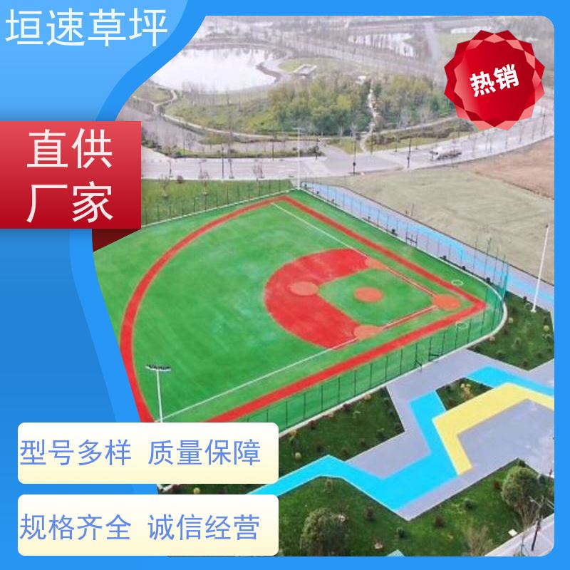 垣速 门球场地设施 户外人工草坪 人造草坪地垫 门球场仿真草环保耐磨