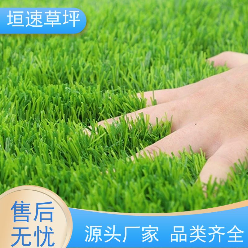 垣速 绿化假草皮 曲棍球场草坪支持定制 门球场地设施 屋面绿化草坪