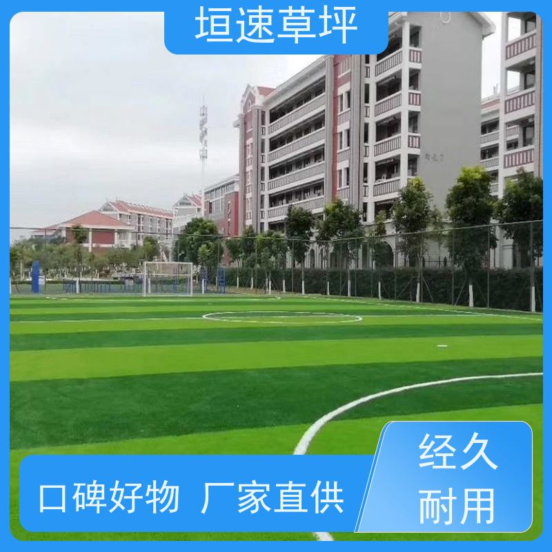 垣速 户外人工草坪 门球场地设施 仿真人造草坪 足球场假草皮弹性防滑