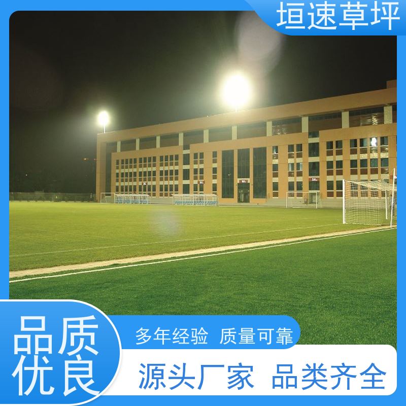 垣速 曲棍球场草坪支持定制 保温假草坪 门球场施工供应商 景观假草皮