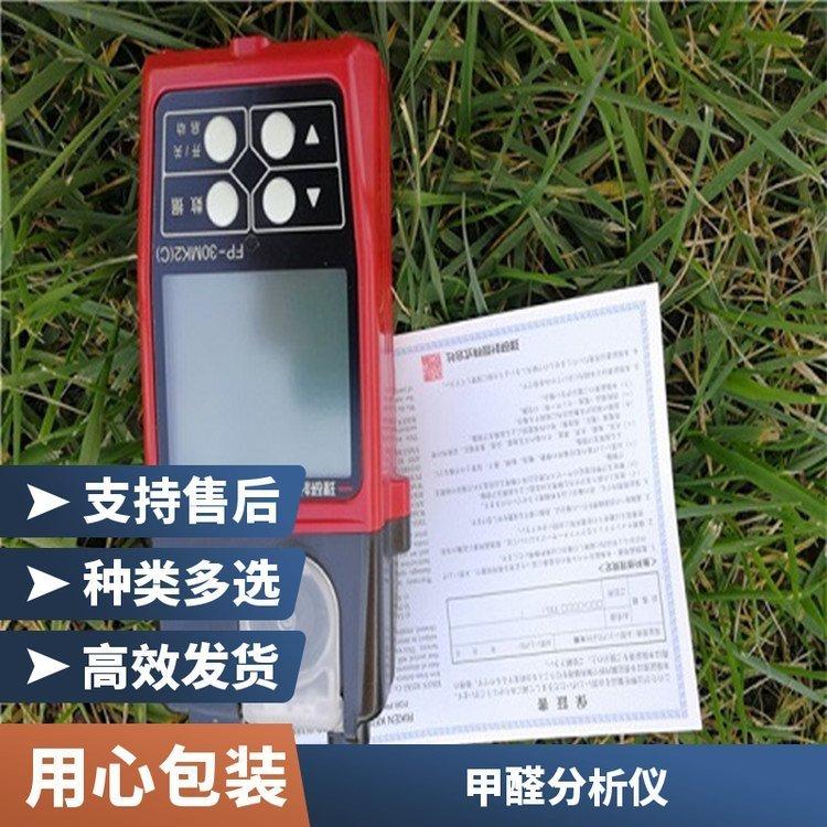 环境空气分析仪 泵吸式气体检测仪 2% FP-30MK2(C) 甲醛探测器