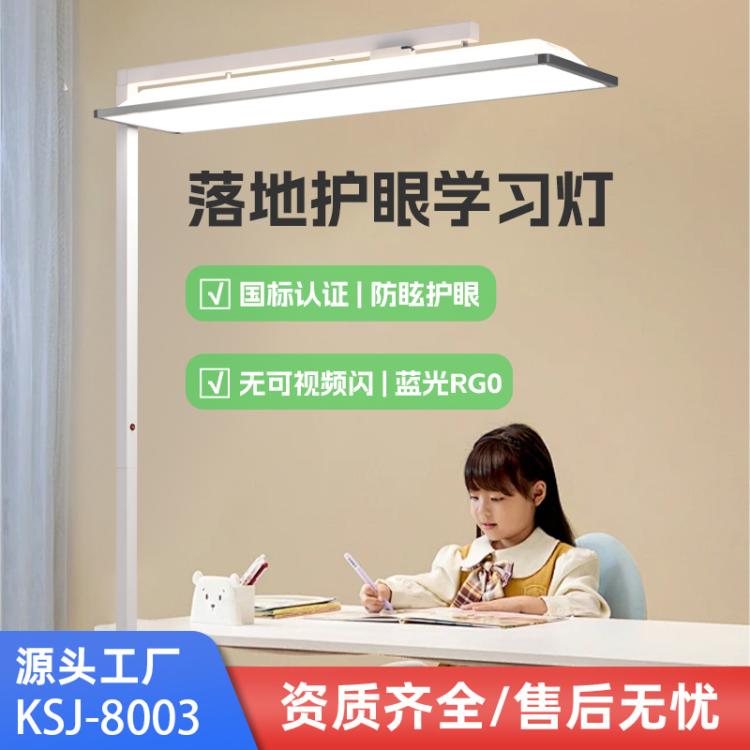 教室照明护眼落地灯学习书房防眩作业LED灯阅读儿童书桌大路灯批