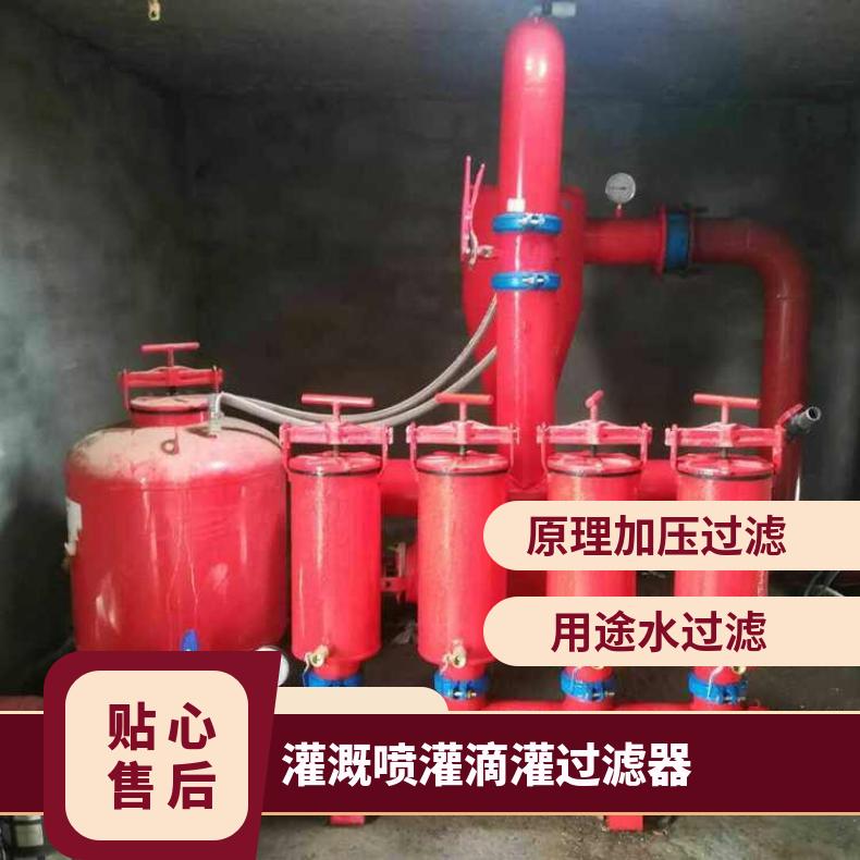 农业灌溉喷灌滴灌过滤器 励进环保 不锈钢 可清洗 水 是 LJSS48-2