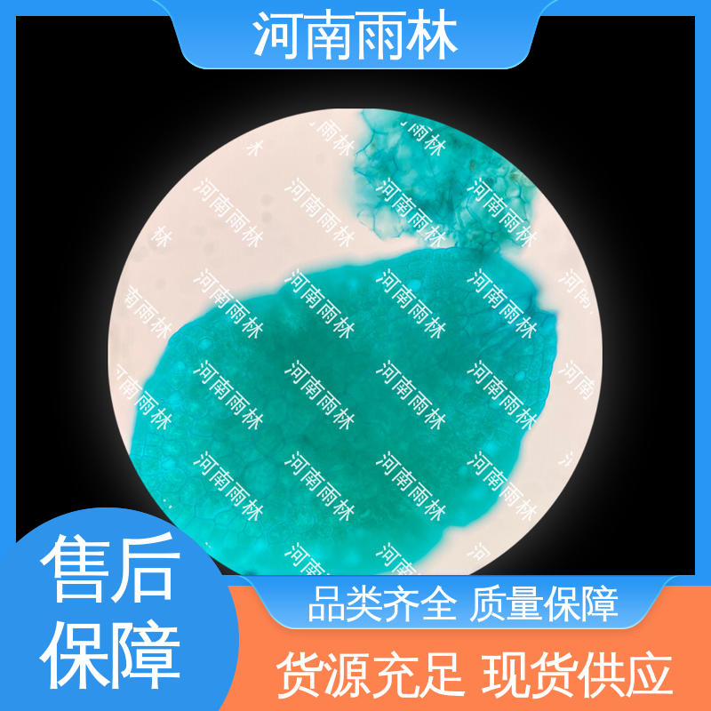 雨林教育 可提供材料 厂家销售 细胞清晰 实验标本