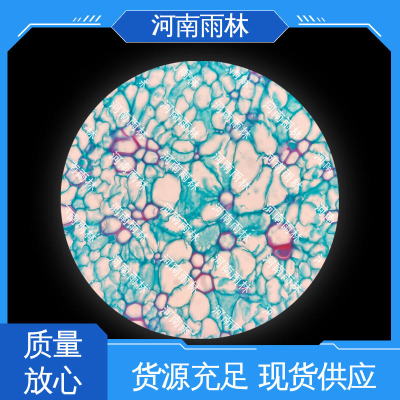 雨林教育 植物标本 厂家销售 可提供材料 品质优良