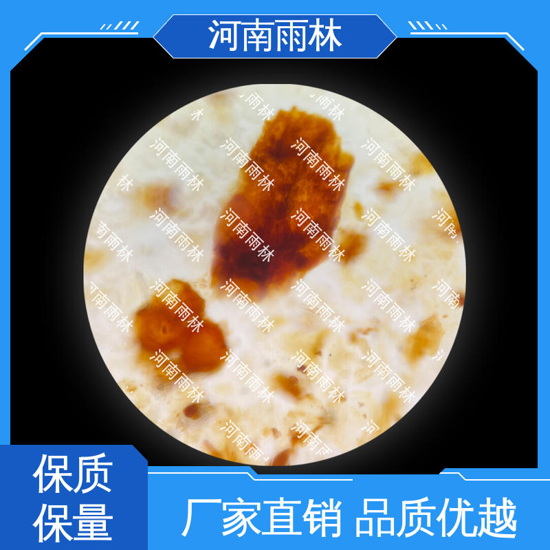 植物切片 售后无忧 颜色鲜亮 专业 雨林教育工程