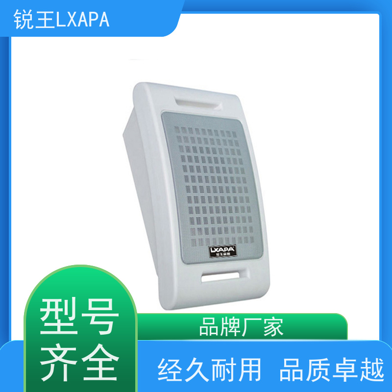锐王LXAPA 源头厂家 店铺餐厅同轴吊球音响 号角喇叭