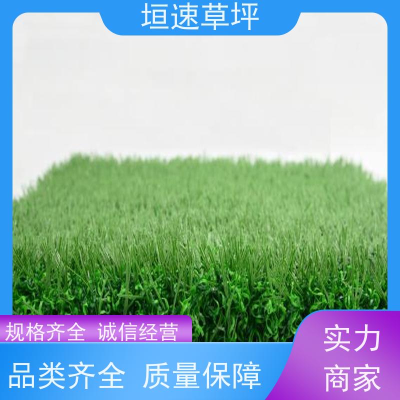 垣速 塑料草坪仿真 门球场地设施 保温假草坪 高尔夫球场草皮不易老化