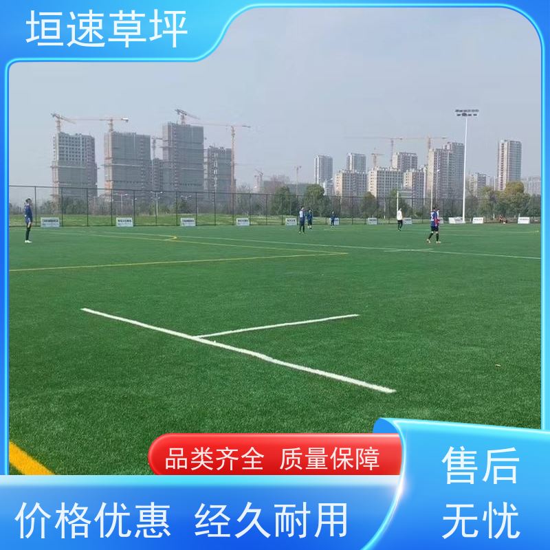 垣速 人工假草皮 门球场地设施 隔热塑料草皮 高尔夫球场草皮不易老化
