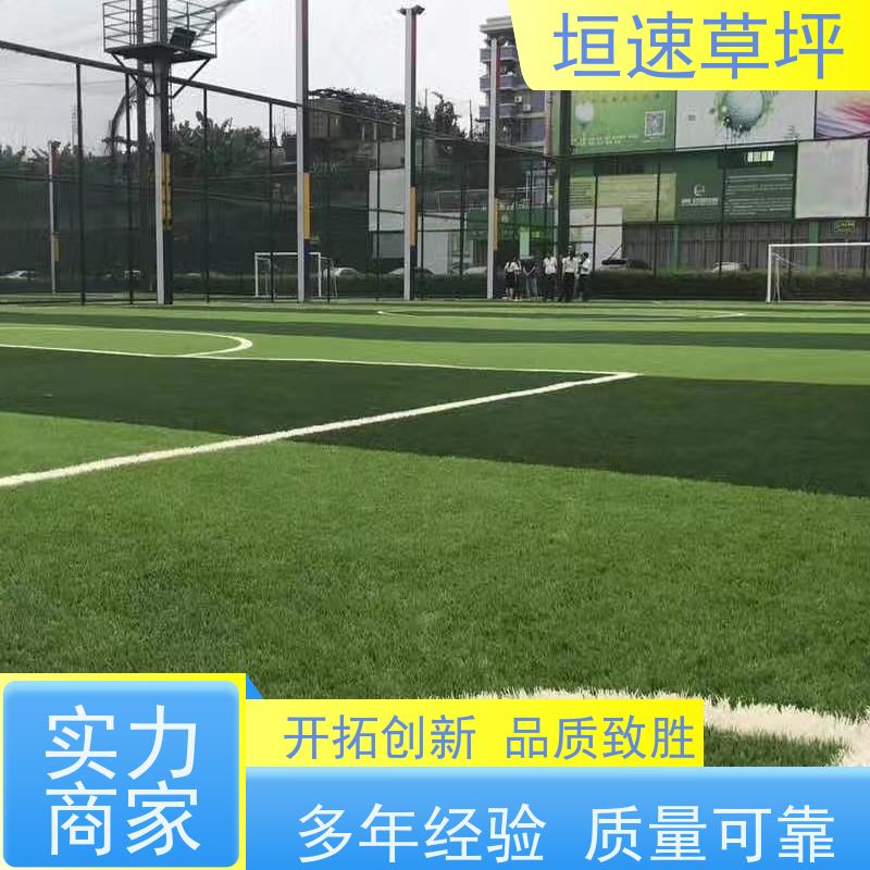 垣速 绿化假草皮 人造草坪哪里有售 加密人造草坪 门球场草坪色彩丰富