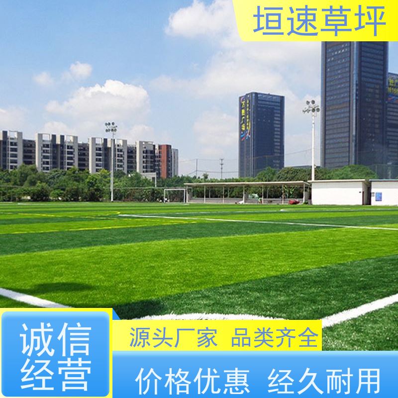垣速 门球场仿真草环保耐磨 绿化假草皮 门球场地设施 仿真草坪保温