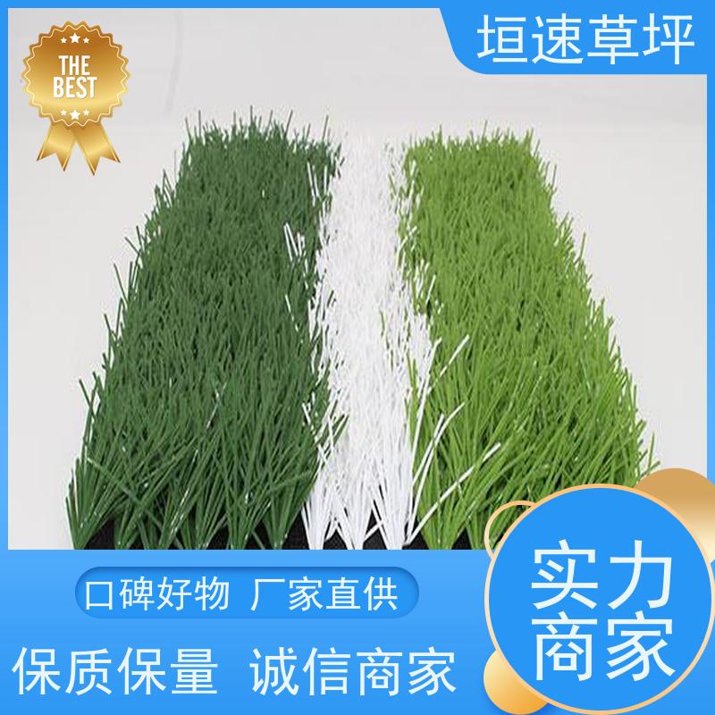 垣速 网球场草坪回弹率好 景观塑料草坪 足球场用什么草坪 绿化假草皮