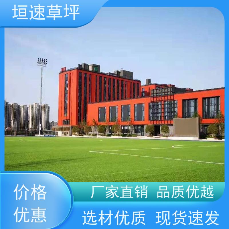 垣速 门球场草坪色彩丰富 人工假草皮 人造草坪哪里有售 绿化隔热草皮
