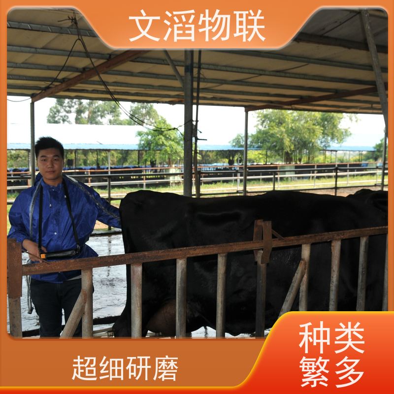 文滔物联 高新科技 肥牛全混合日粮精准饲喂监控系统 好品质 服务好 