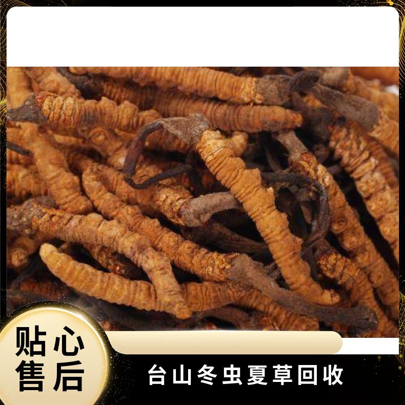 台 山冬虫夏草回收 长期 两6000 棕黄色 散装礼盒装 防蛀 冷藏 炖肉 克