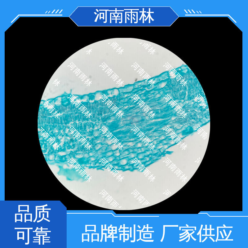 雨林教育 厂家销售 可后期加工 质量保障 实验切片