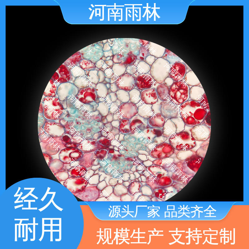 病害标本 可提供材料 支持定制 一对一质检 雨林教育工程