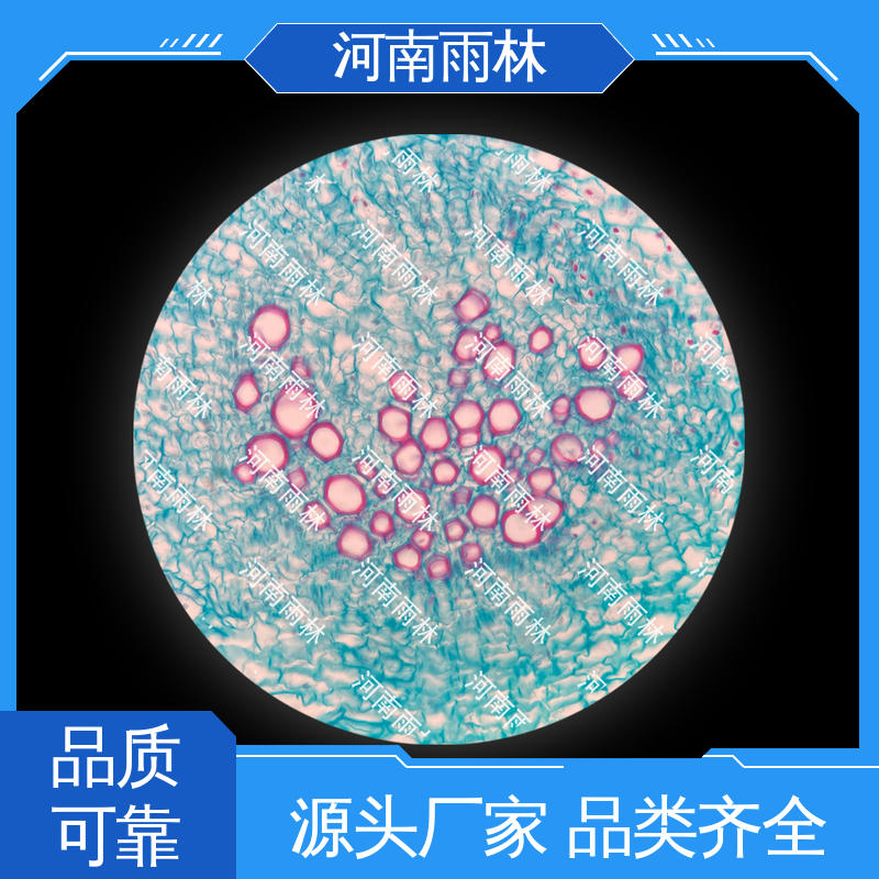 可提供材料 植物切片 一对一质检 源头工厂 雨林