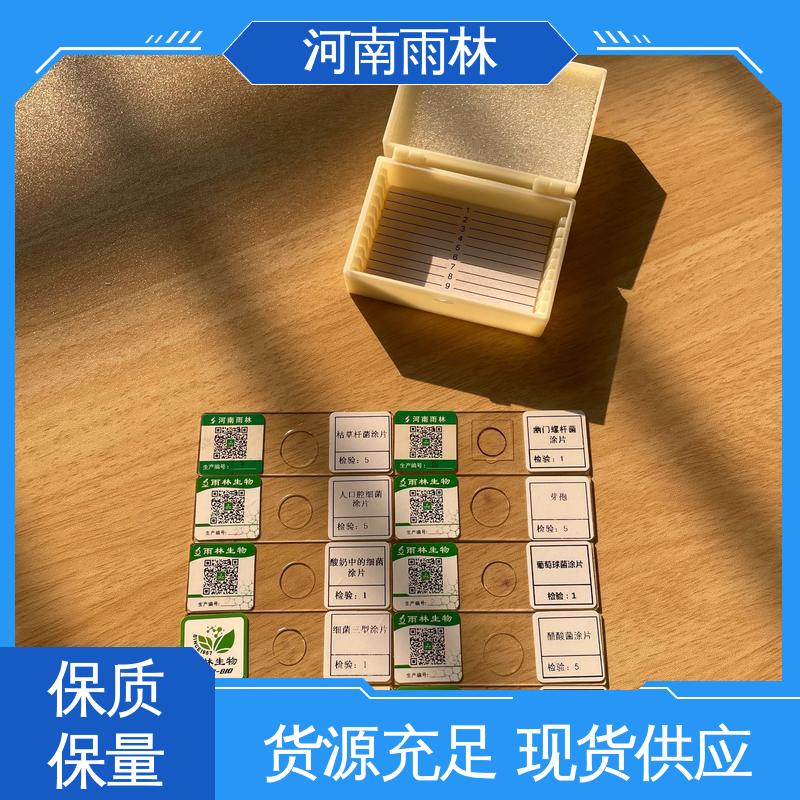个性化定做 细胞清晰 病害标本 性价比高 雨林教育