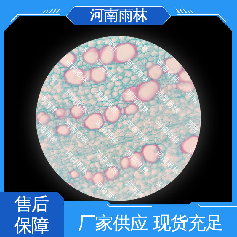 雨林教育 一对一质检 实验切片 性价比高 厂家销售