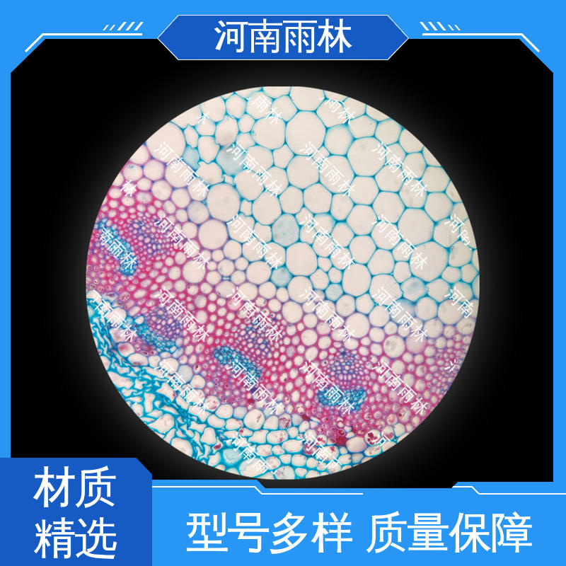 雨林 一对一质检 支持定制 可提供材料 实验切片