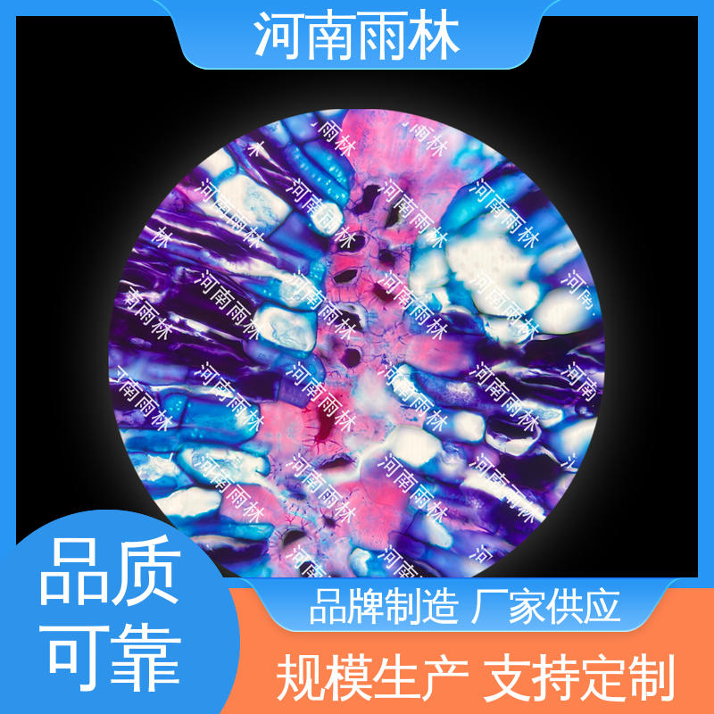 雨林教育 实验切片 质量保障 个性化定做 售后无忧