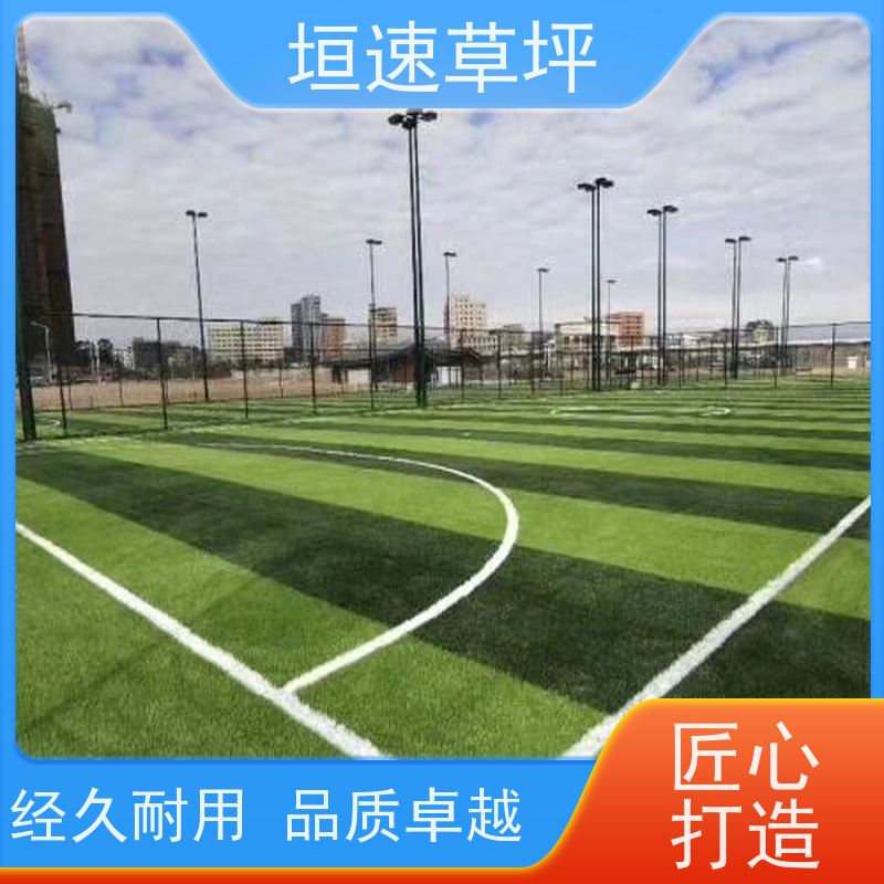 垣速 门球场地设施 室外塑料草坪 人工草坪绿化 篮球场人造草舒适度好