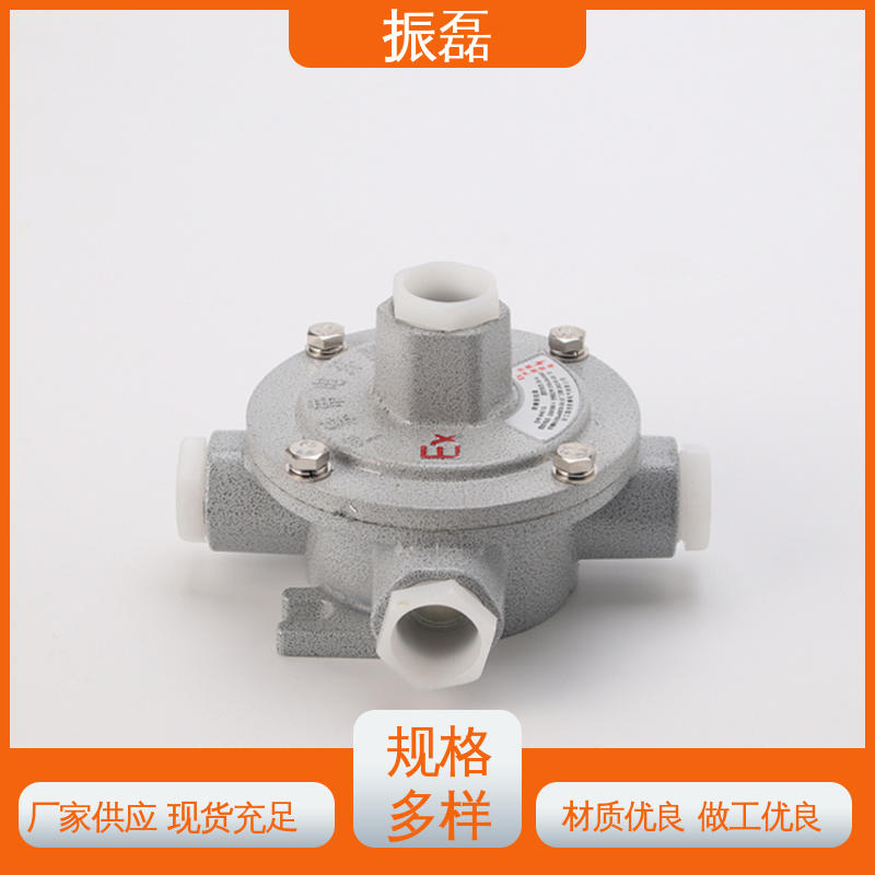 振磊 防爆接线盒厂家 管螺纹可定制 防腐等级WF2