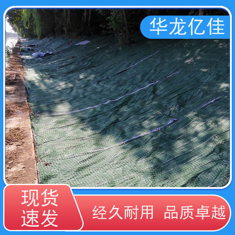 国标 抗冲生物毯 河道护坡绿化植草毯 华龙亿佳供应