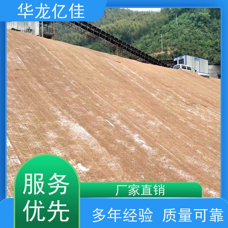 特价 植生毯 河道护坡绿化植草毯 华龙亿佳供应