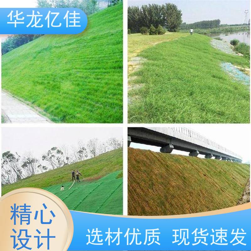 特价 加筋抗冲毯 河道护坡绿化植草毯 施工简单