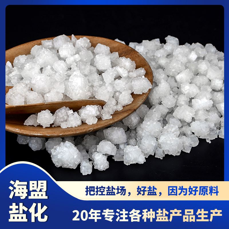 高级精制盐 高含量99%氯化钠 海盟锅炉水处理 厂家直供