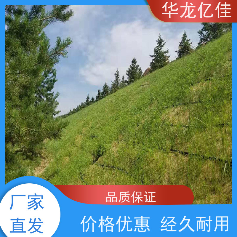 全新 公路边坡防护毯 河道护坡绿化植草毯 施工简单