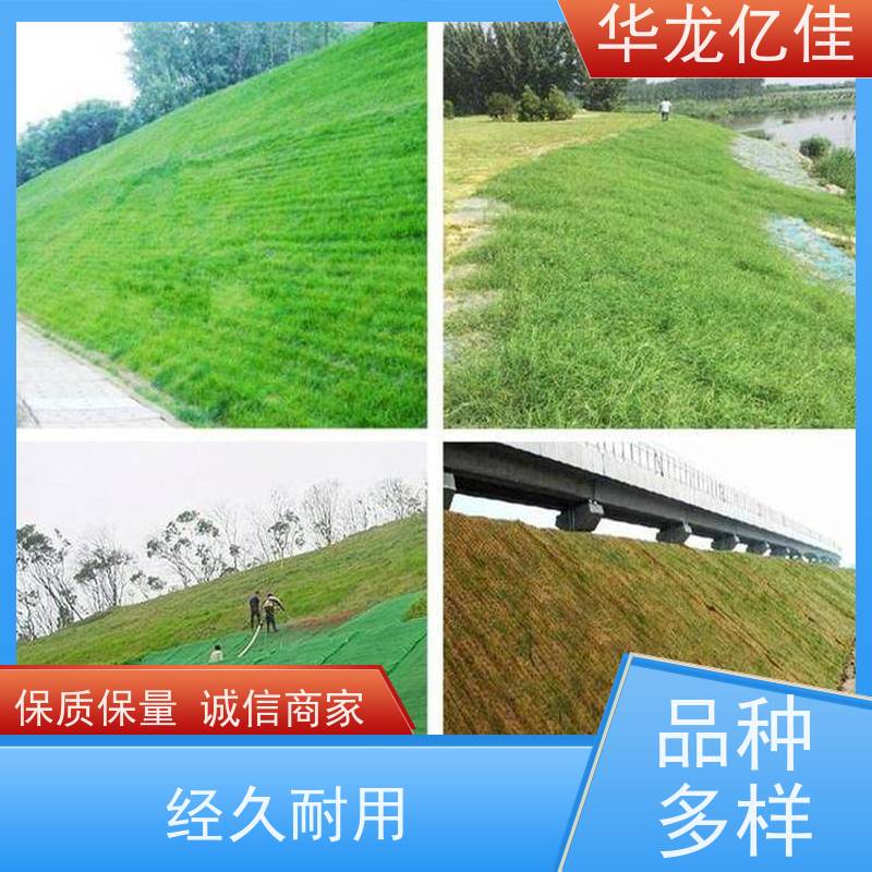国标 公路边坡防护毯 规格多样 矿山修复 施工简单