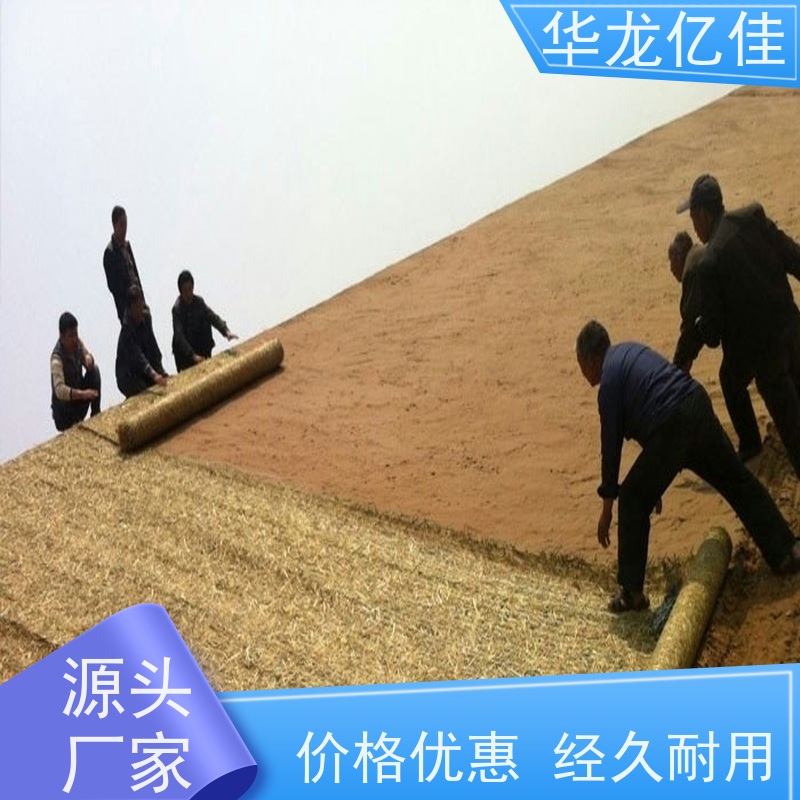 国标 植生毯 河道护坡绿化植草毯 颜色金黄色 耐腐蚀