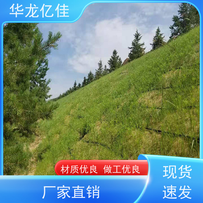 特价 椰丝纤维毯 河道护坡绿化植草毯 华龙亿佳供应
